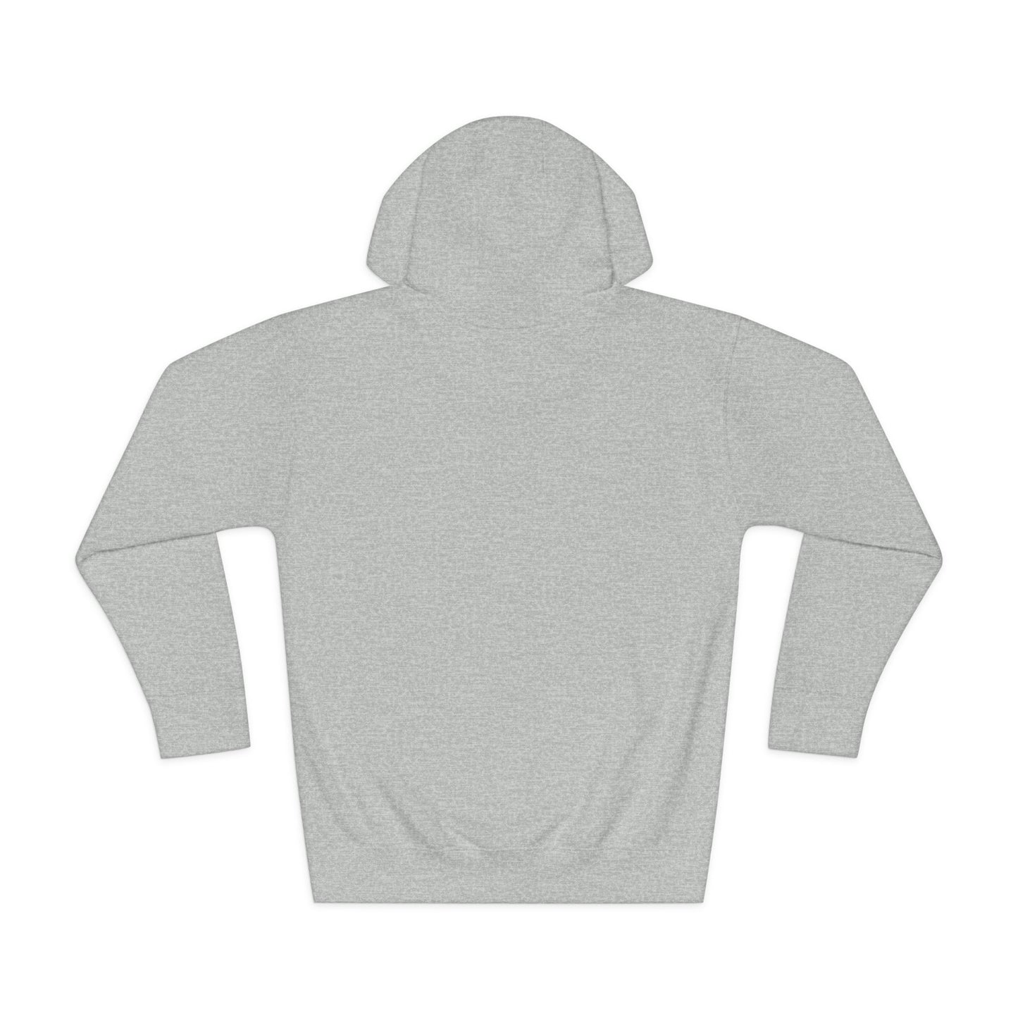 Youthful Neighbors Fleece Hoodie - Carbon Grey